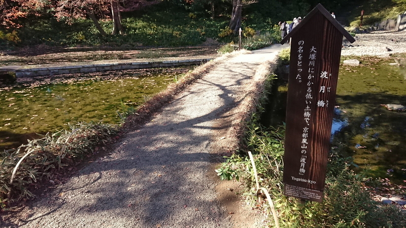 イメージ 14