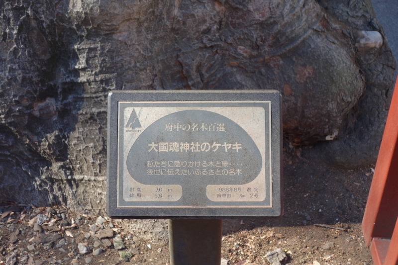 イメージ 16