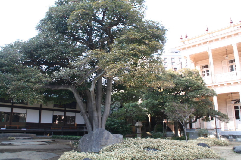 イメージ 27