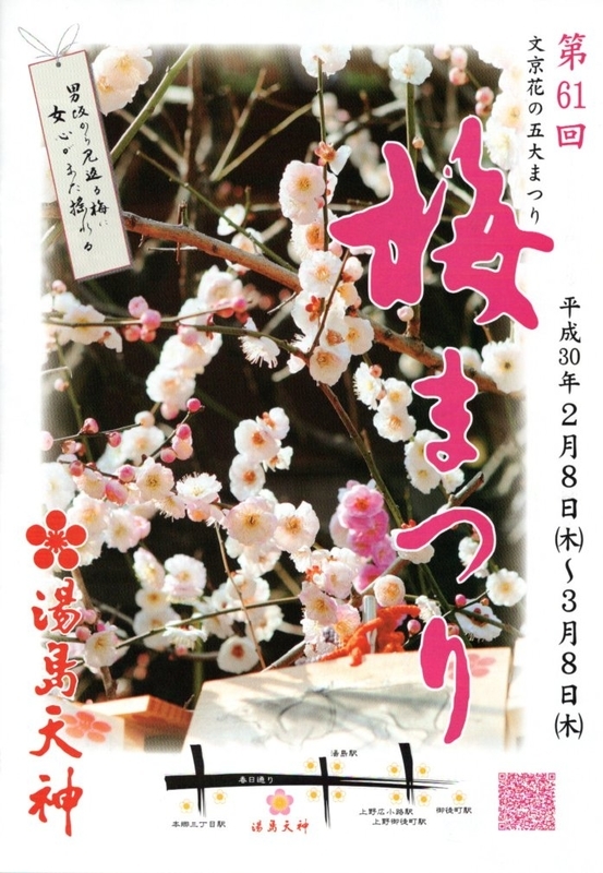 イメージ 8