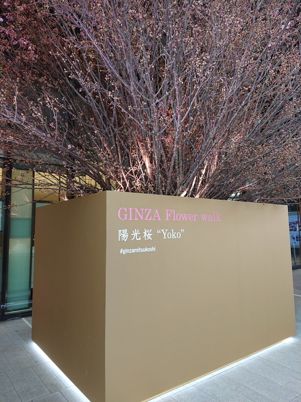 イメージ 9