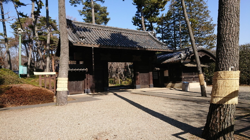 イメージ 3