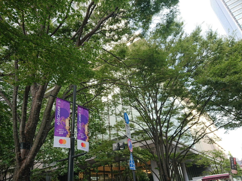 イメージ 4