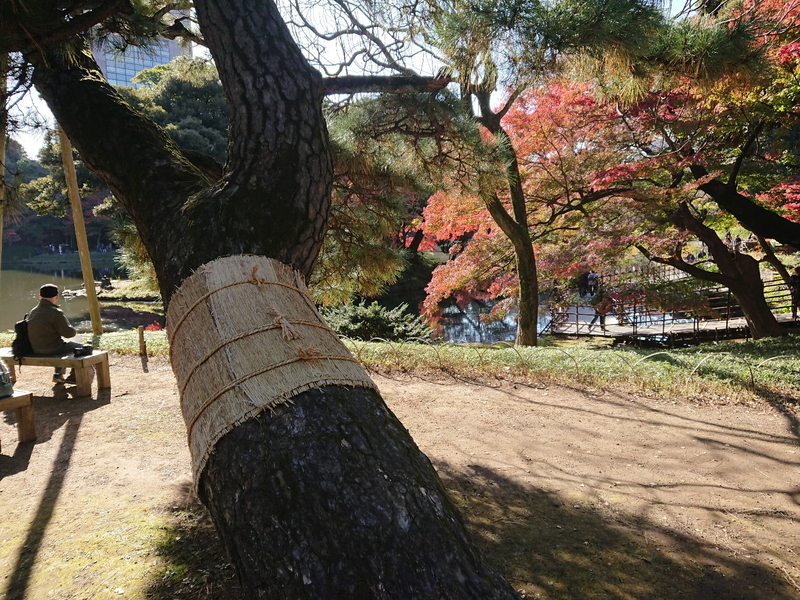 イメージ 14