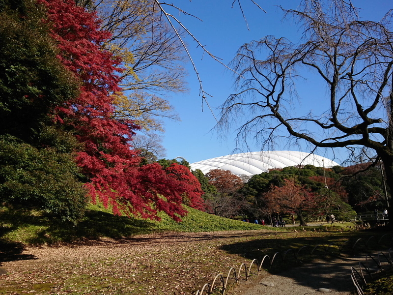 イメージ 7