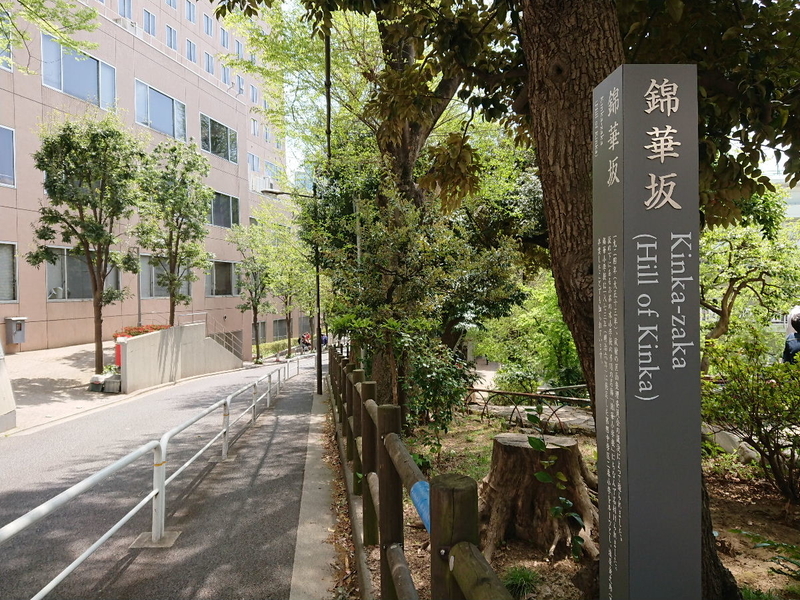 イメージ 7