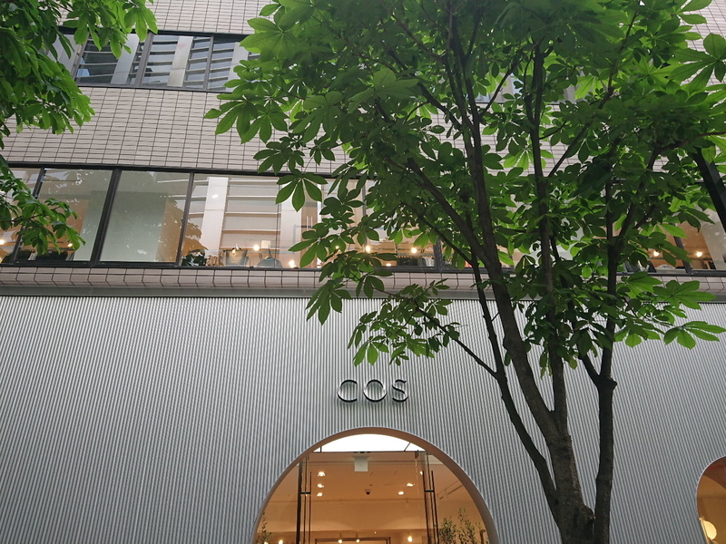 イメージ 12