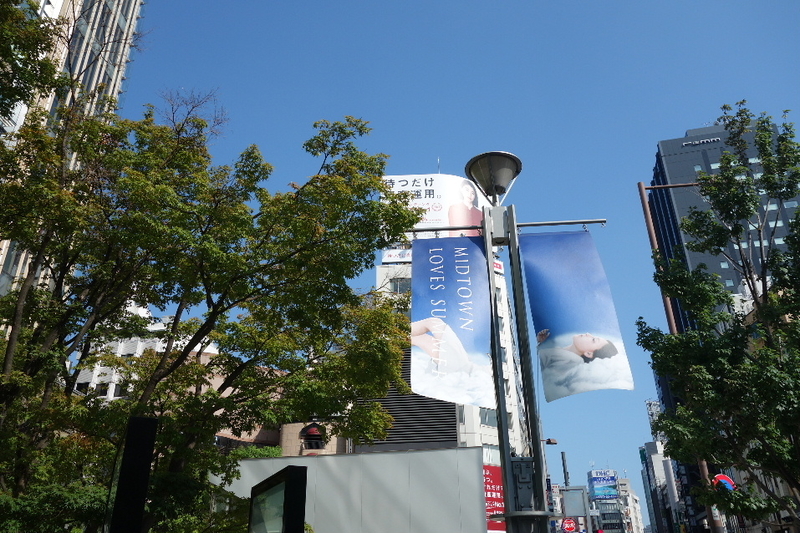 イメージ 5