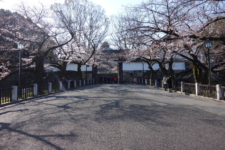 イメージ 13