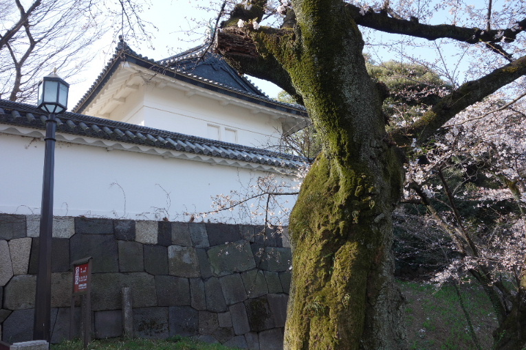 イメージ 16