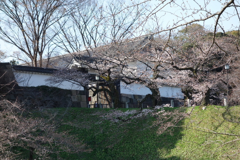 イメージ 10