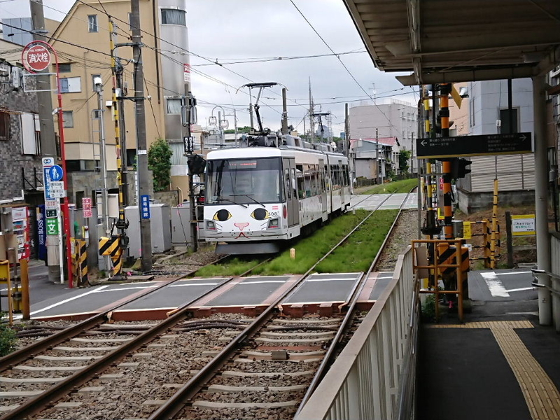 イメージ 13