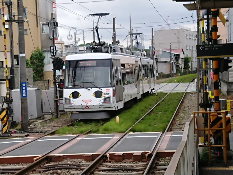 イメージ 14
