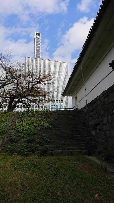 イメージ 8