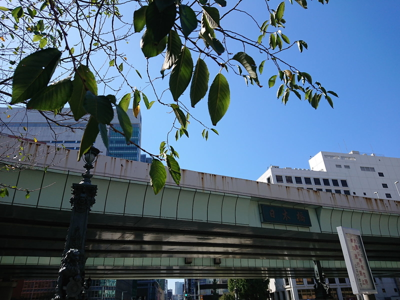 イメージ 16