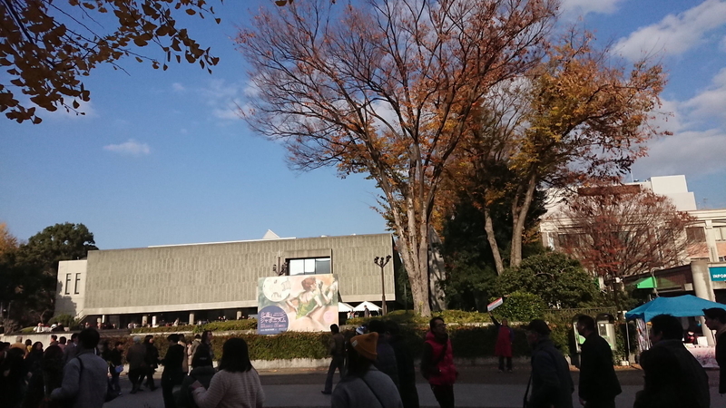 イメージ 7