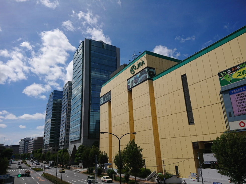 イメージ 5
