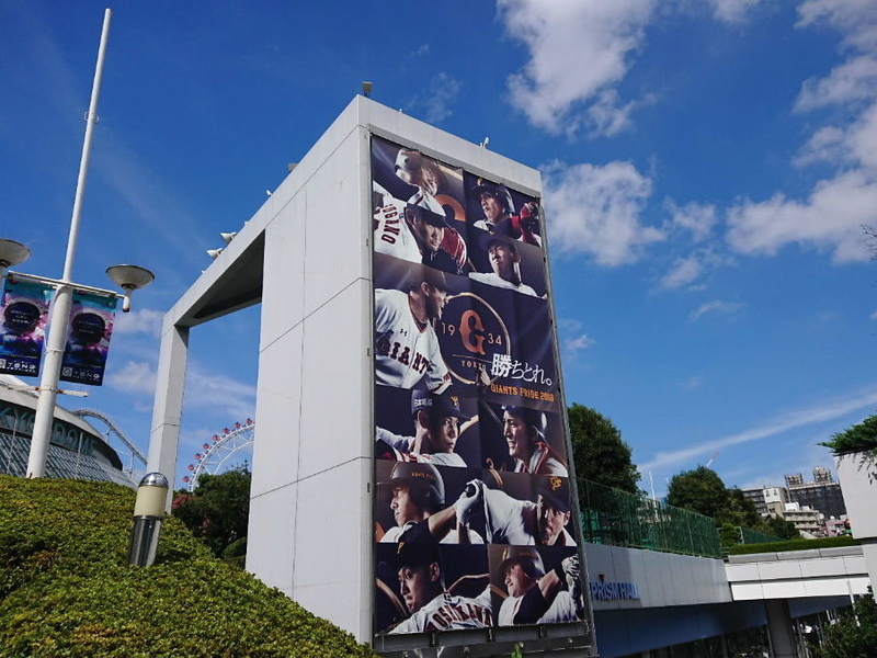 イメージ 8