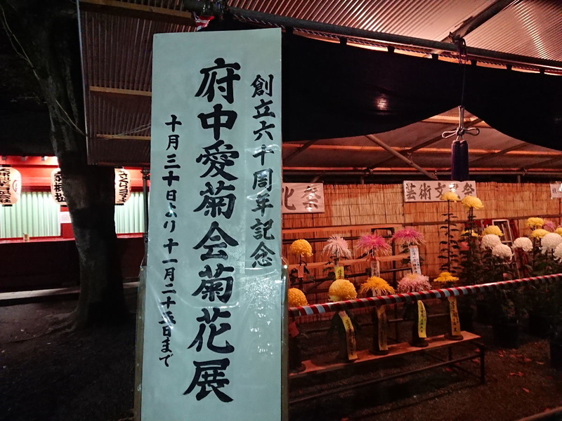 イメージ 18