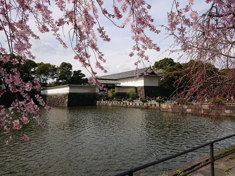 イメージ 12