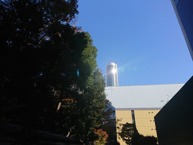 イメージ 12