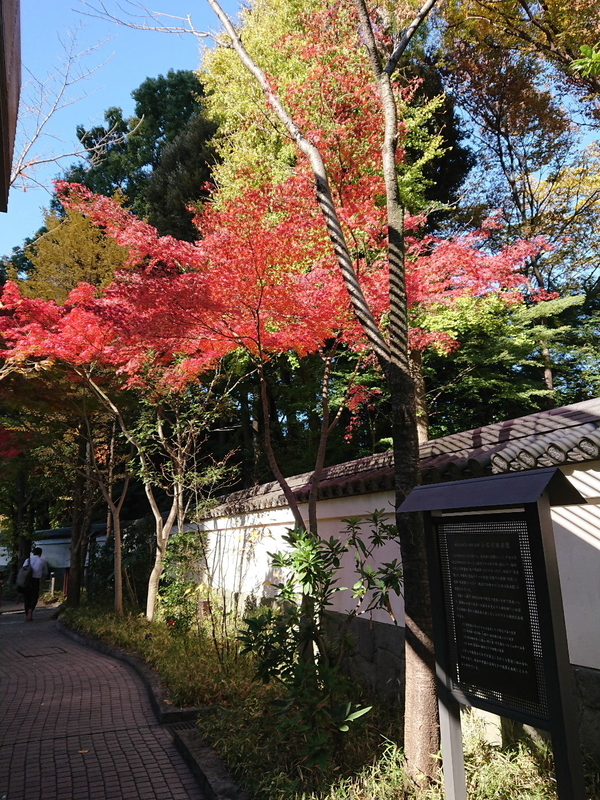 イメージ 13