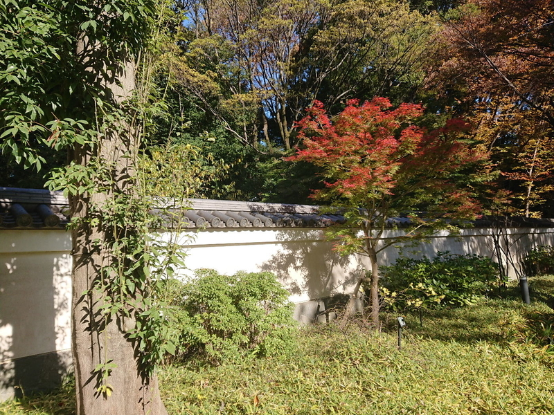 イメージ 15