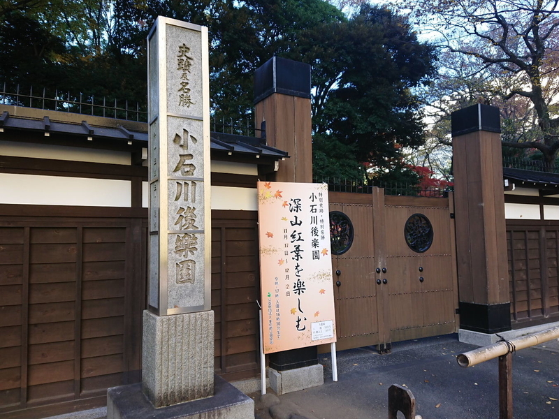 イメージ 6