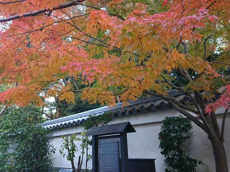 イメージ 9