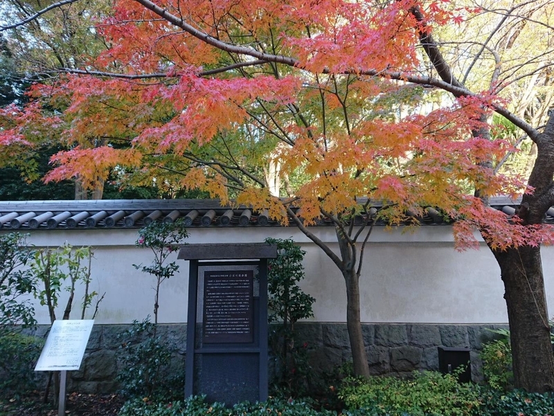 イメージ 10