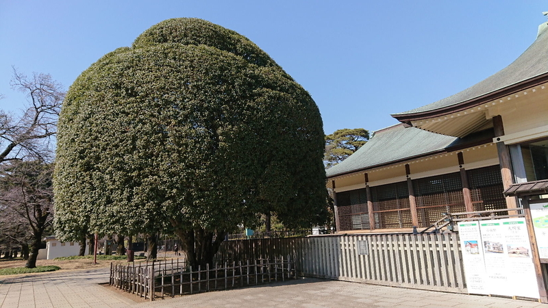 イメージ 8