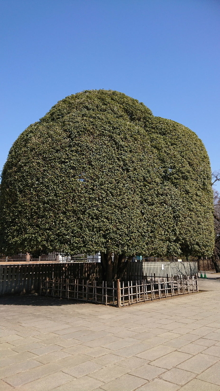 イメージ 9