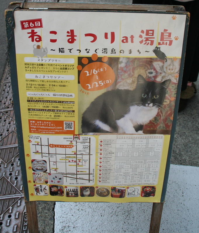 イメージ 7