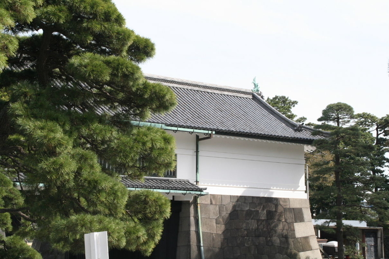 イメージ 14