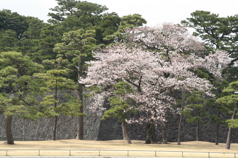 イメージ 18