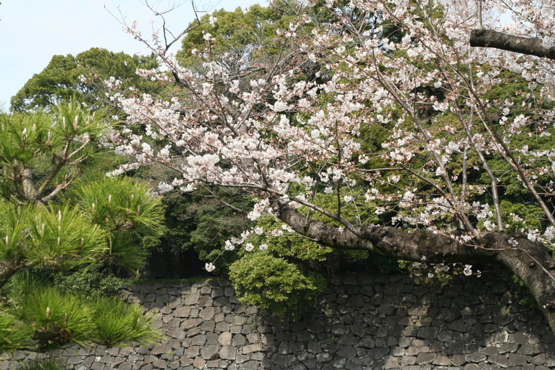 イメージ 19