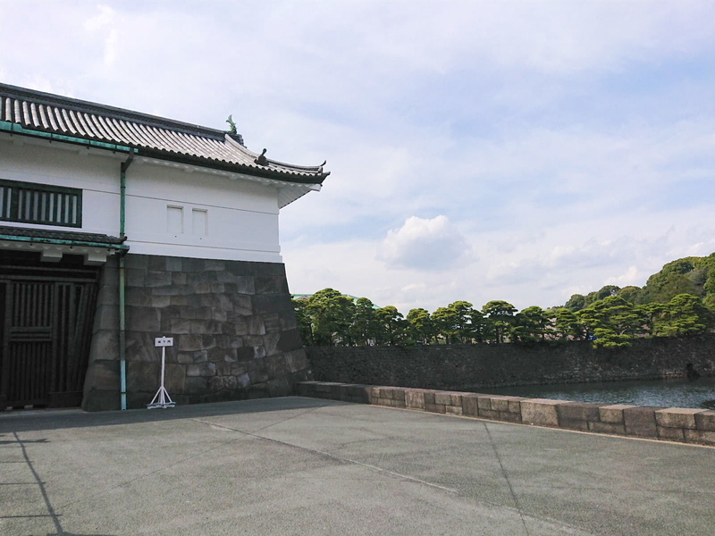 イメージ 7