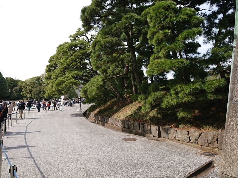 イメージ 8