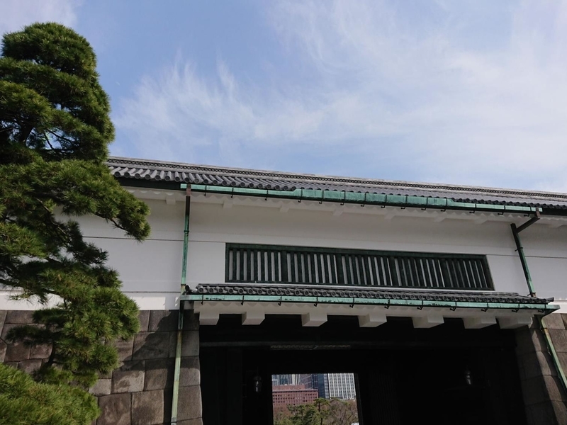 イメージ 10