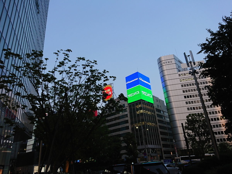 イメージ 8