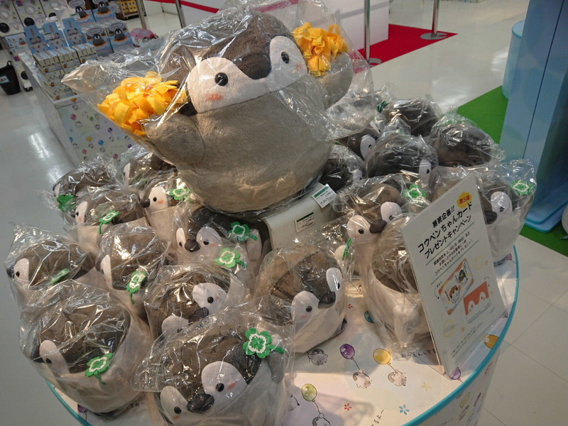 イメージ 7