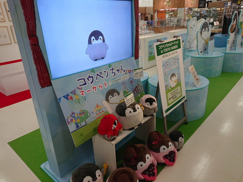 イメージ 8