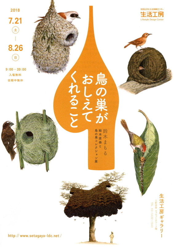 イメージ 14