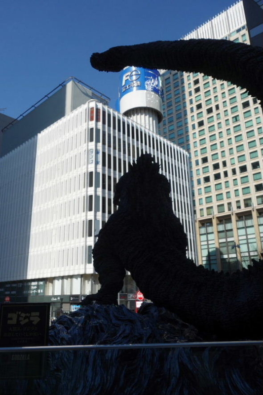 イメージ 10