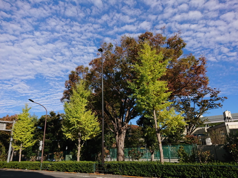 イメージ 15
