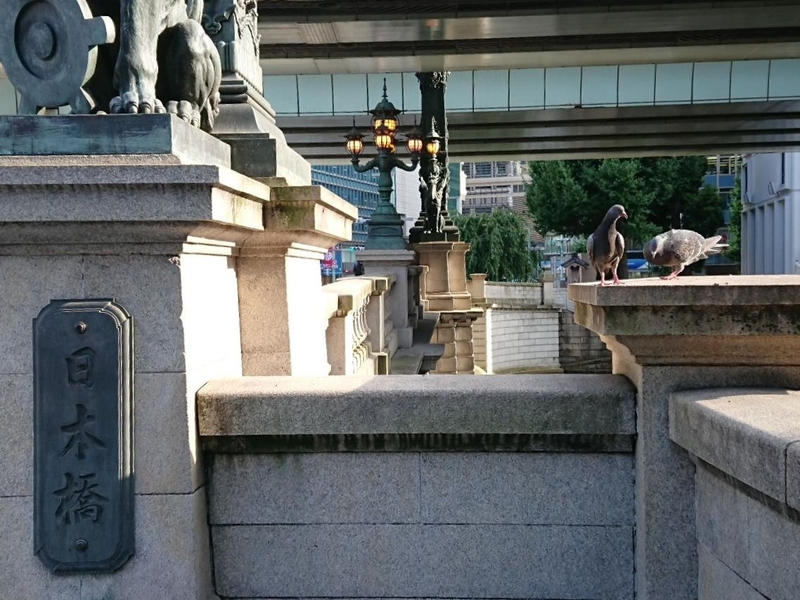 イメージ 7