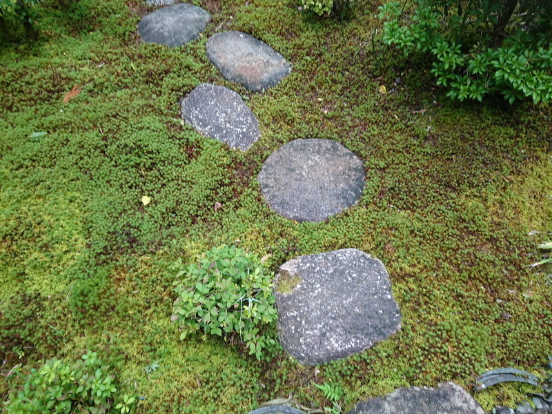 イメージ 10