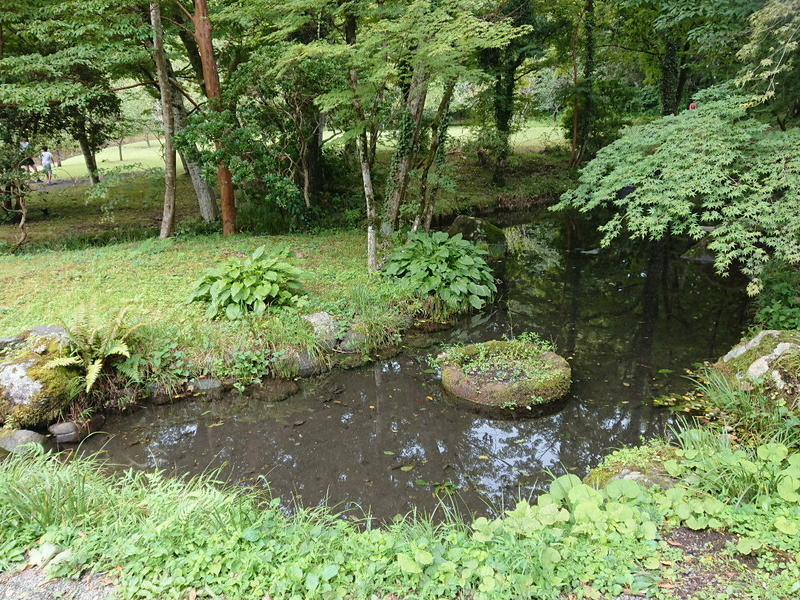 イメージ 12