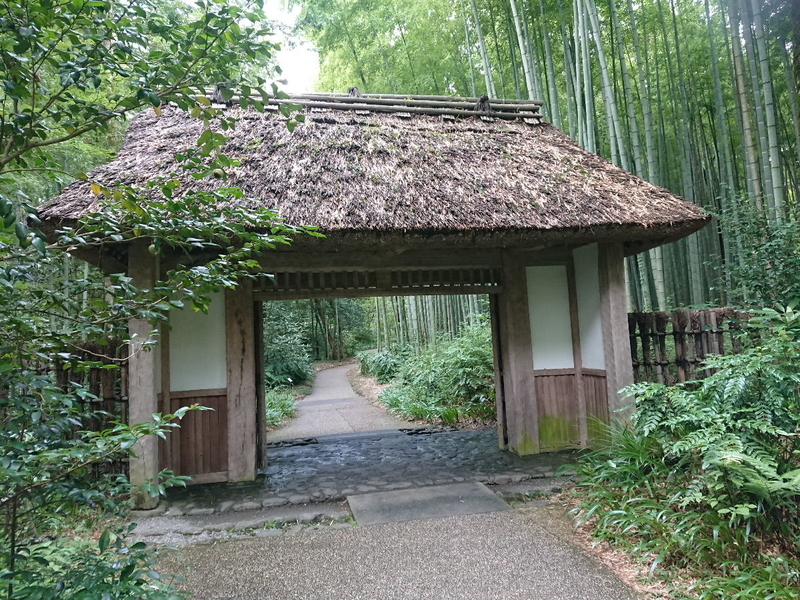 イメージ 7