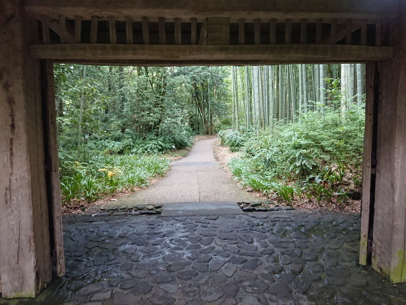イメージ 8